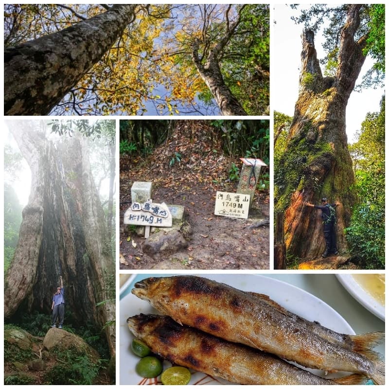 北得拉曼上內鳥嘴山
