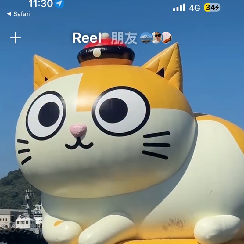 走吧~看貓咪🐱