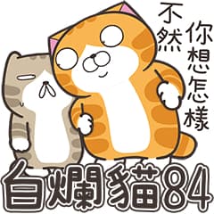 白爛貓84☆超有病☆