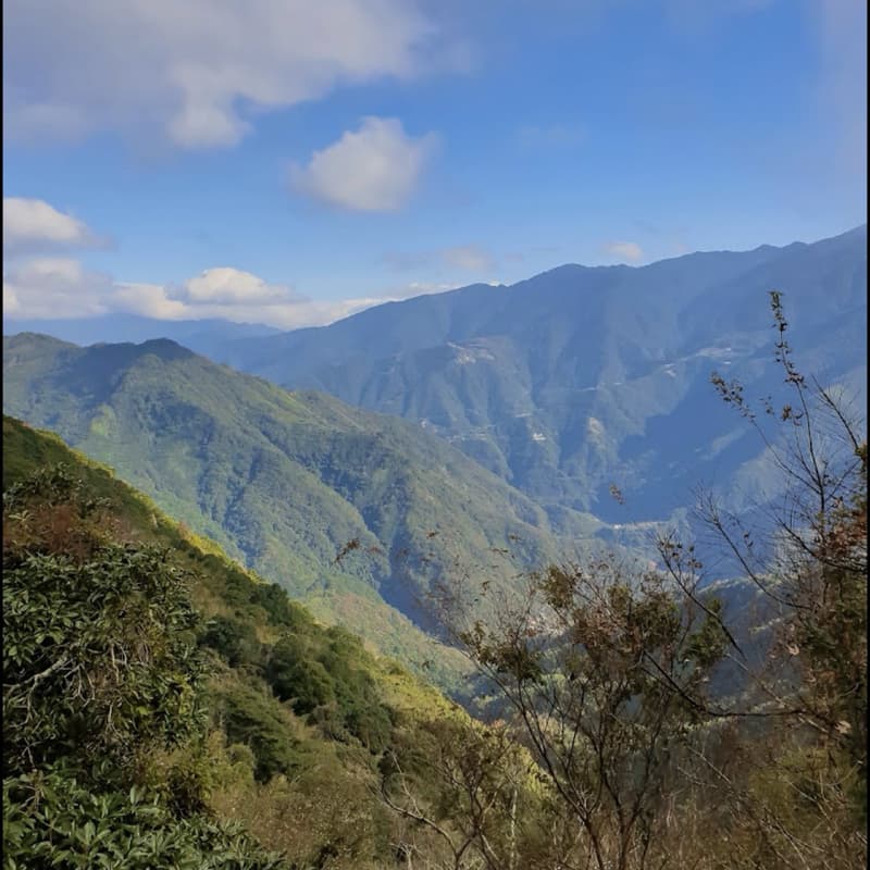 觀賞山景