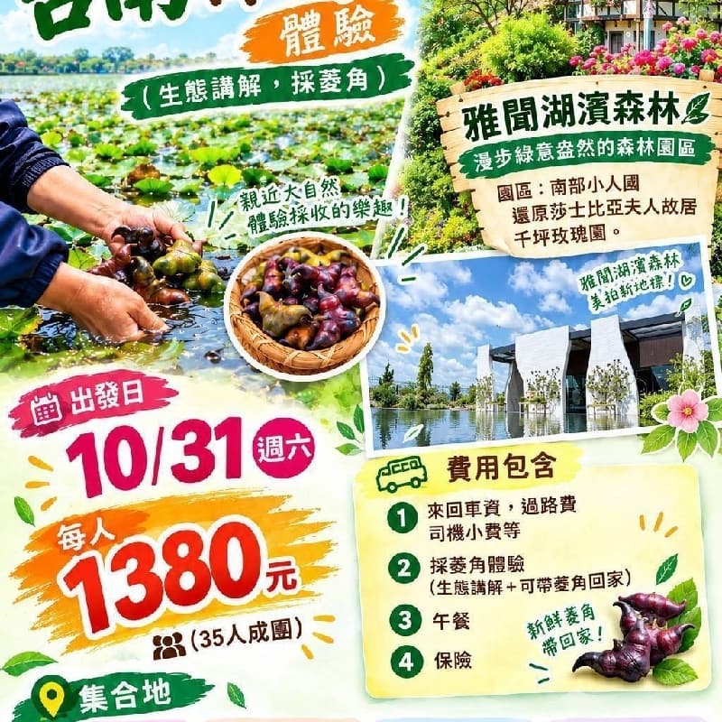10/31官田採紅菱