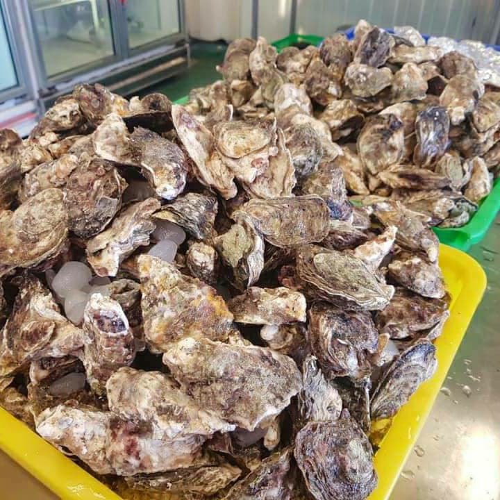 阿香澎湖燒烤🦪