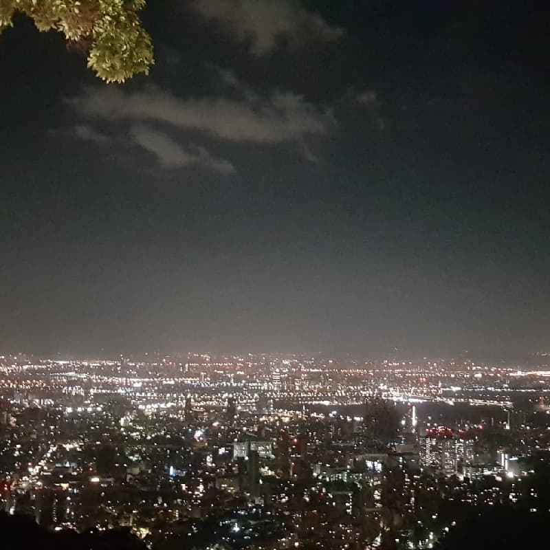 屋頂上
