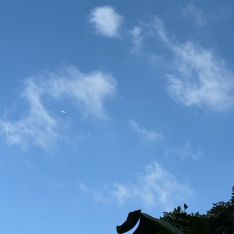 電影我請客