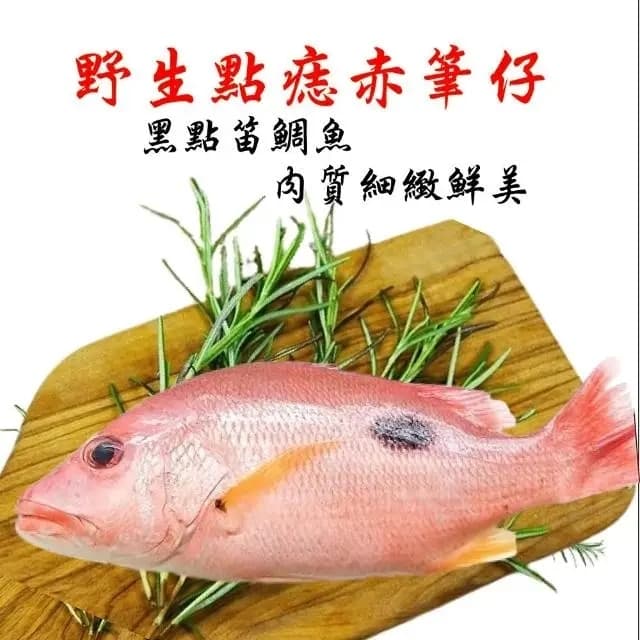 日海