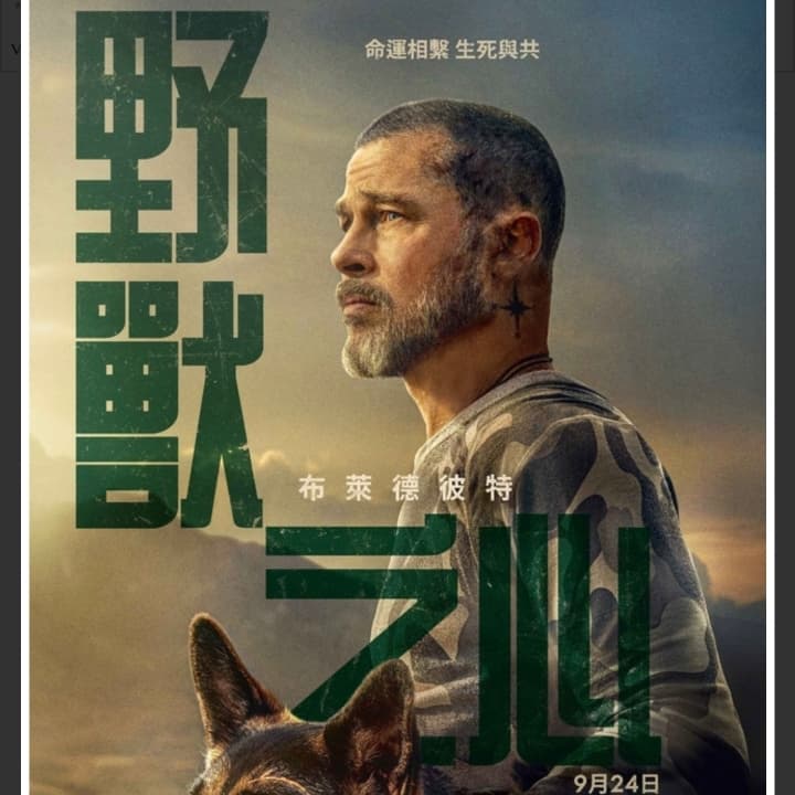 一起看個布萊德彼特新電影