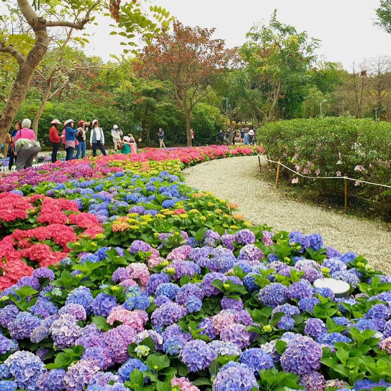 大安森林公園散步
