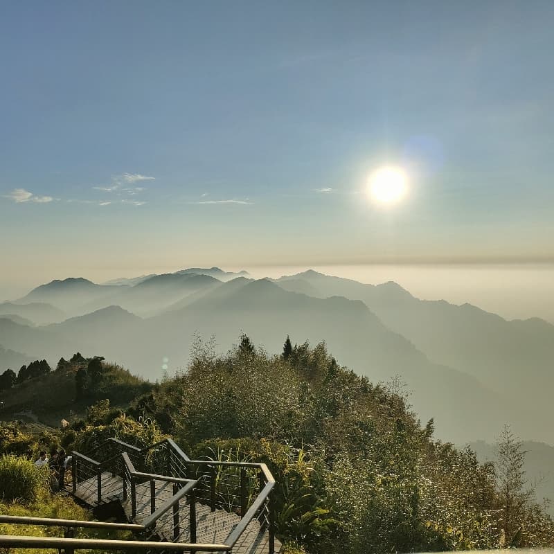 #新手友善# 阿里山放鬆之旅