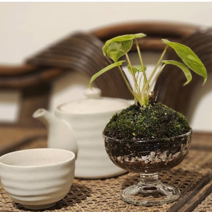 週五好忙-1️⃣華山手作展