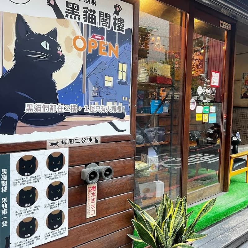 一起擼貓,舒壓放鬆小時光