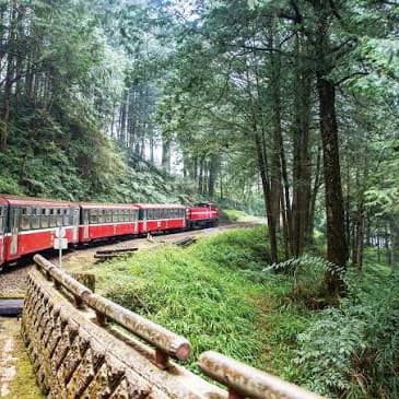 🚂 阿里山漫步雲端:茶香包棟、日出鐵道慢活之旅