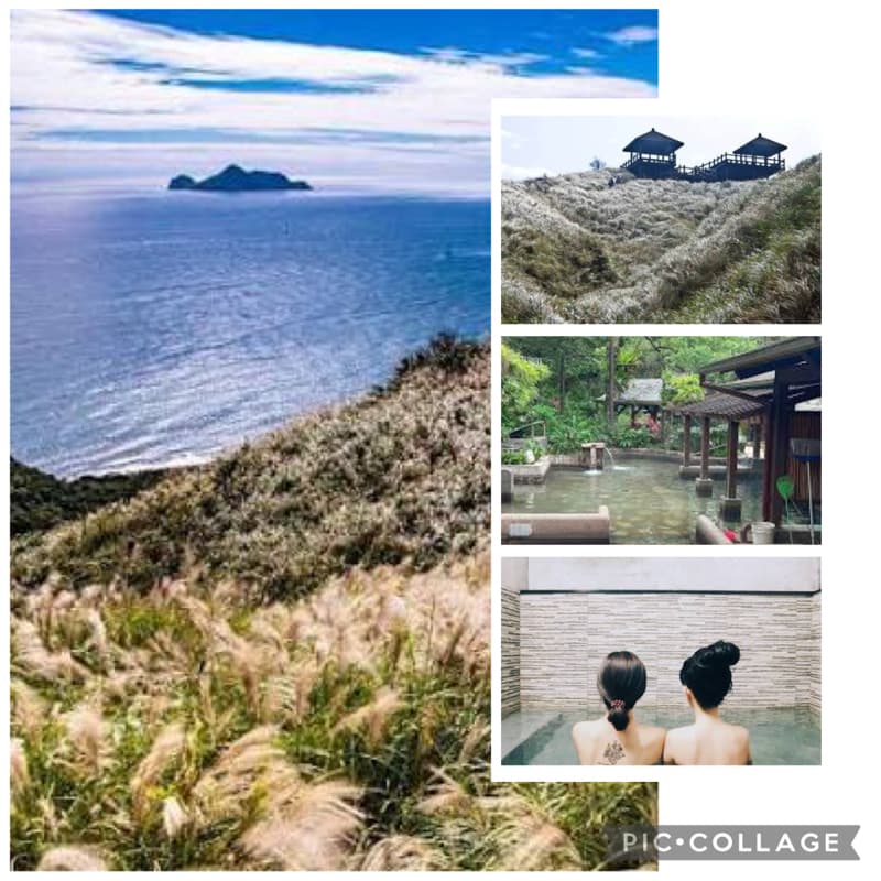 見山望海賞秋芒2026~草嶺古道ft.礁溪溫泉♨️#新手友善