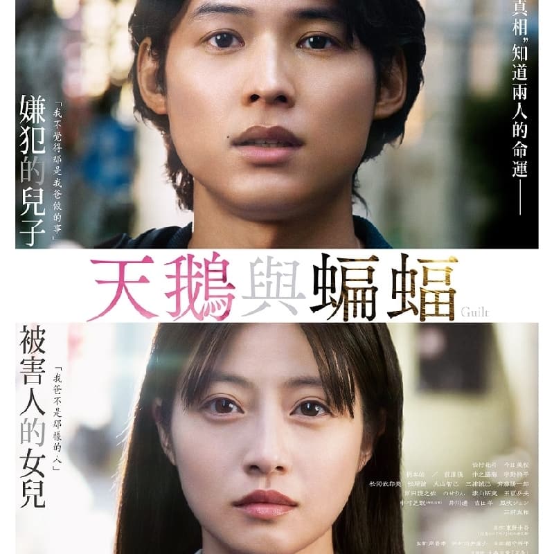 電影《天鵝與蝙蝠》