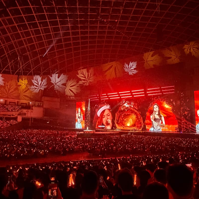 【演唱會/音樂節熱血同好會】尋找一起衝現場、懂音樂的你!