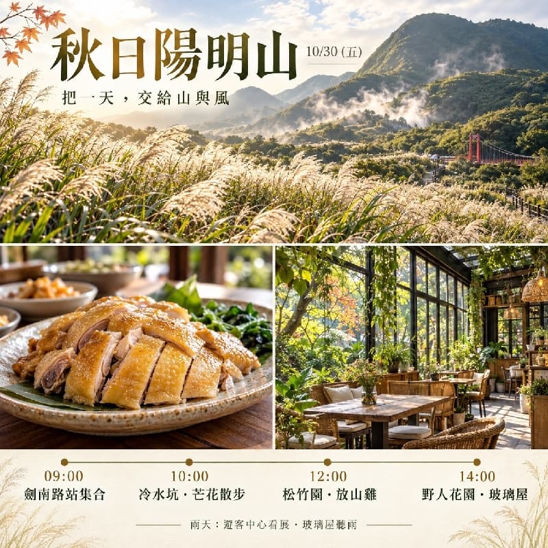 秋。漫行 芒花 陽明山。