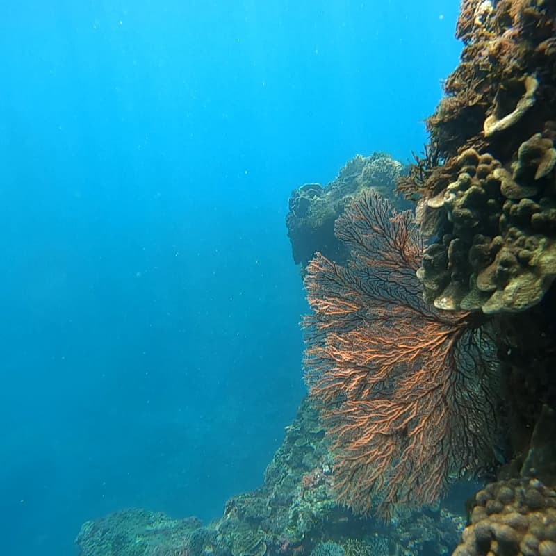 豆腐岬浮潛