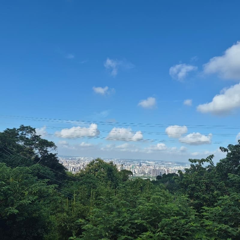 🌿 台中大坑九號步道|走進山裡,也走回自己