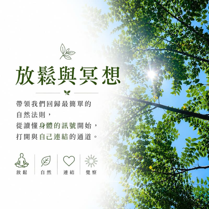 放鬆與冥想|初學友善