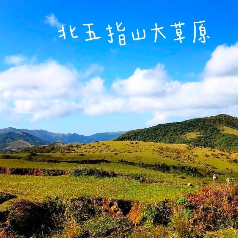 安德的步道初級班(4級):第112課-北五指山、高頂山步道