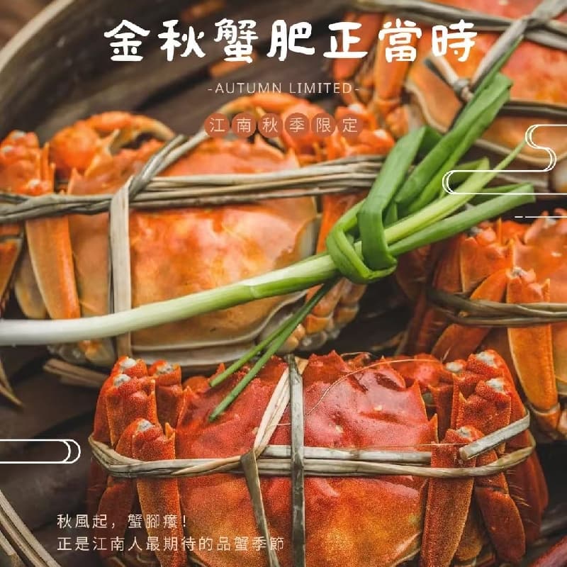 🌸 【江南六日遊|一次收藏雙古鎮、雙水鄉的浪漫】 🌸