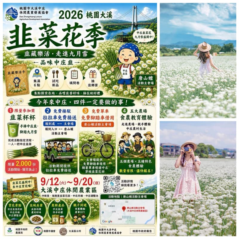 9/13(日)☘️走進九月雪白花海❄️賞花x拍照x逛市集✨大溪老街美食