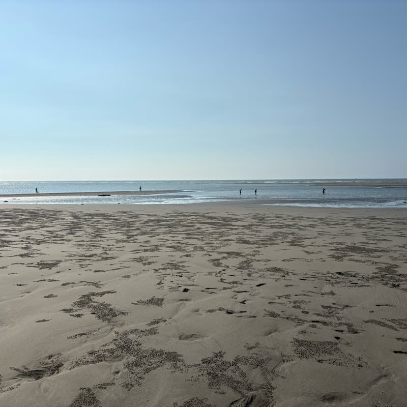 海邊
