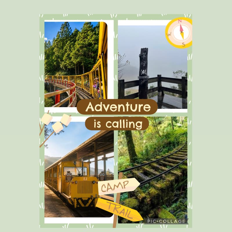 🍁 山毛櫸黃金森林 × 蹦蹦車 × 翠峰湖日出兩日遊