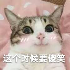 《閃揪》颱風假 一起小酌一下🫶