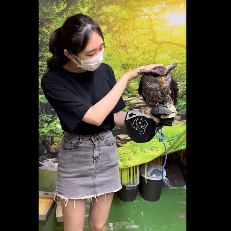 Nina揪桌遊