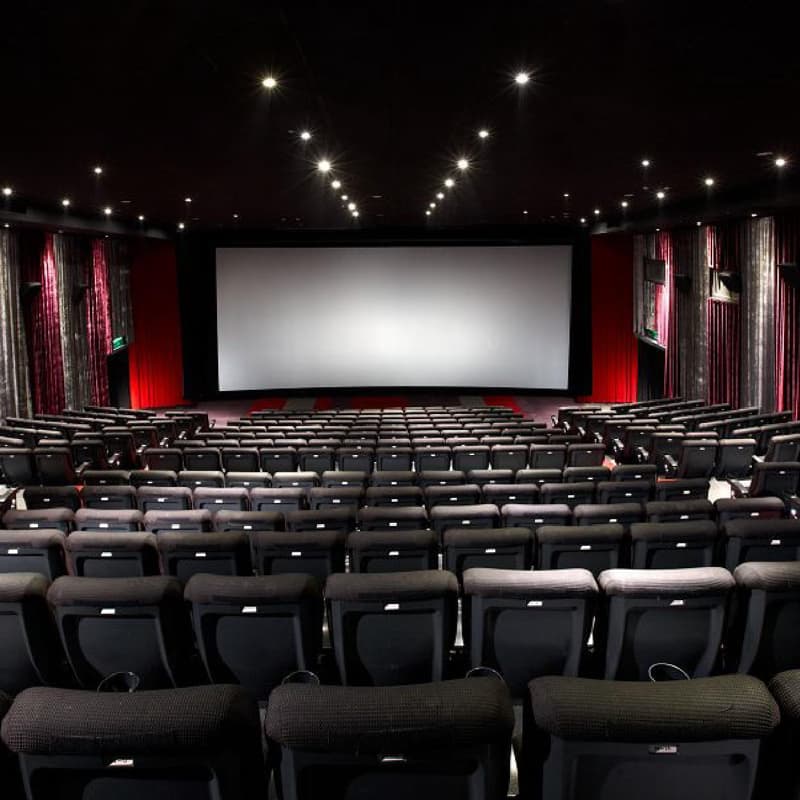 🎬 颱風散場,電影開場!🍿