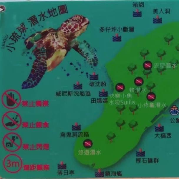 環島潛水-海龜比野狗還多的地方