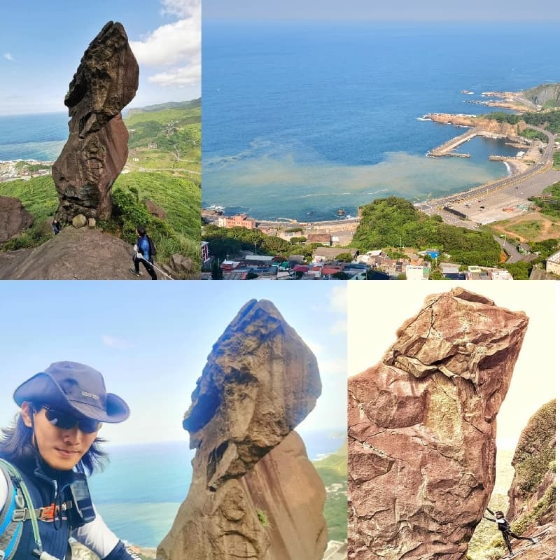 暴龍怎麼那麼美 🦖🦖