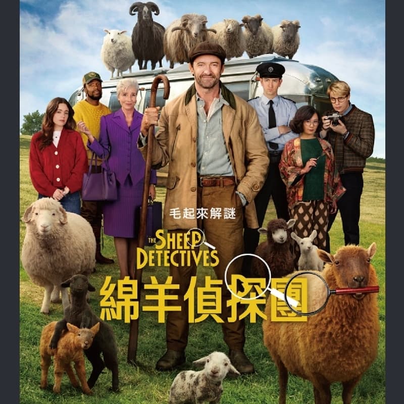 綿羊偵探
