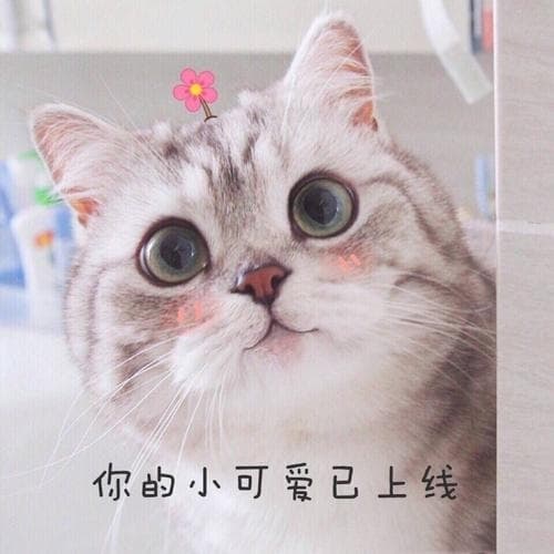連假前夕 下班吃晚餐🥳 #中秋節