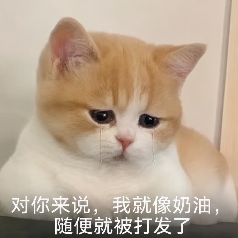 台南一日遊限愛唱歌好相處旅伴 #中秋節