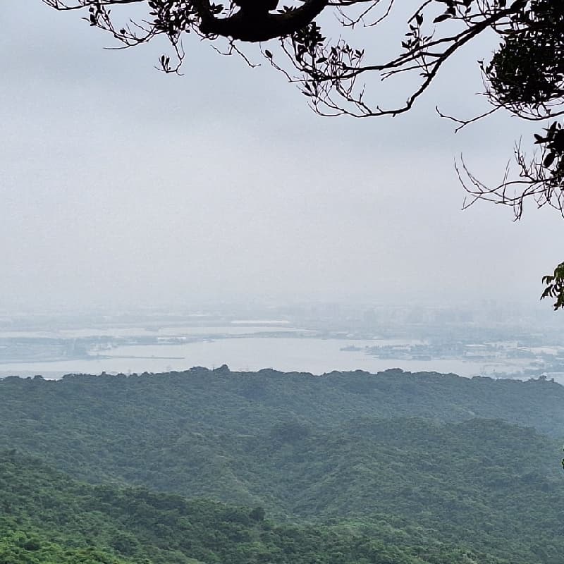 柴山好漢坡