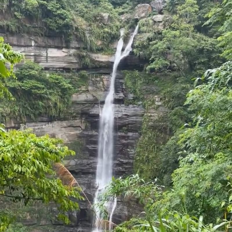 雲嘉山林山野健行活動
