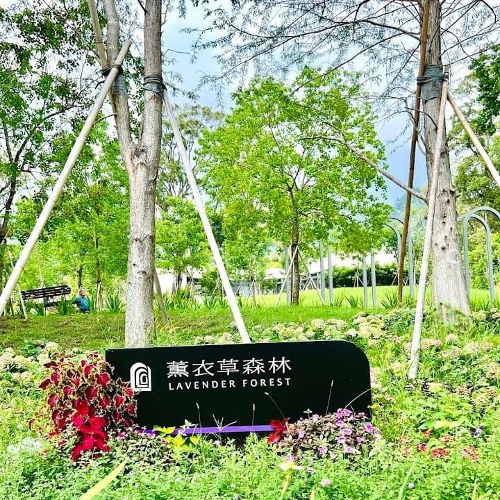 #中秋節 草屯薰衣草森林九九峰園區戶外走走