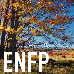 ENFP 快來找我聊聊吧~~~~