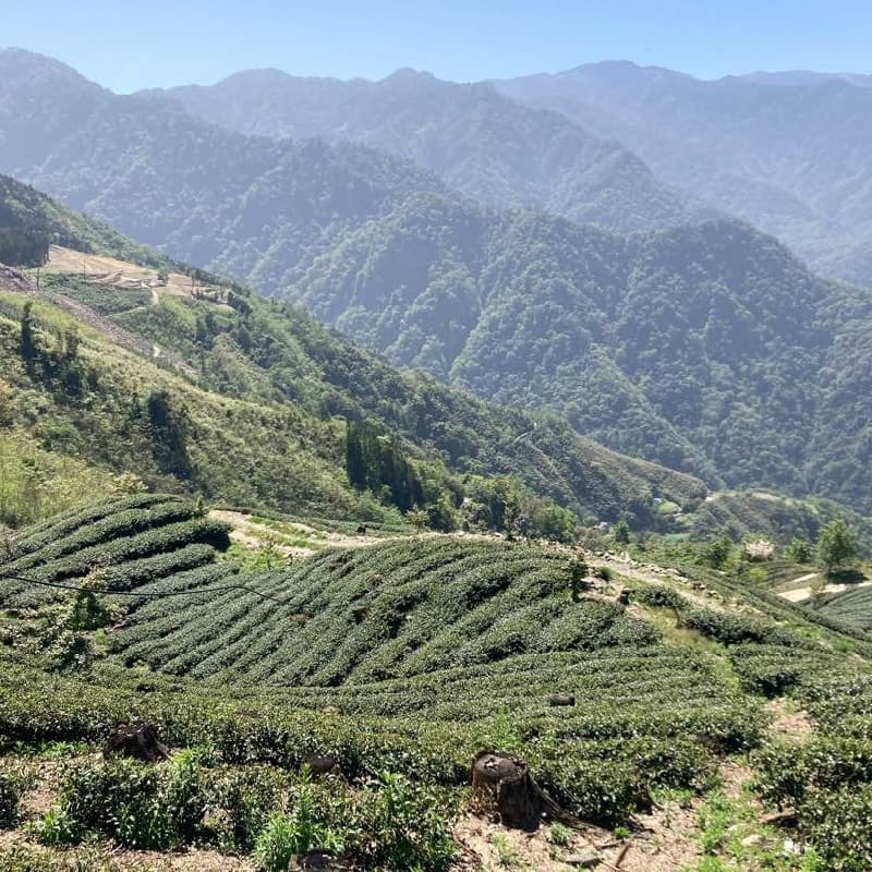 民都有山輕鬆走⛰️