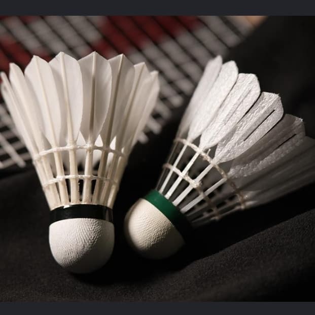 竹北維特羽毛球🏸 #新手友善
