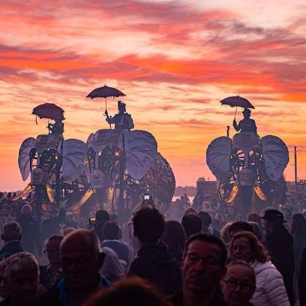 大象來逛士林夜市囉🦣🐘🦣🐘 #中秋節